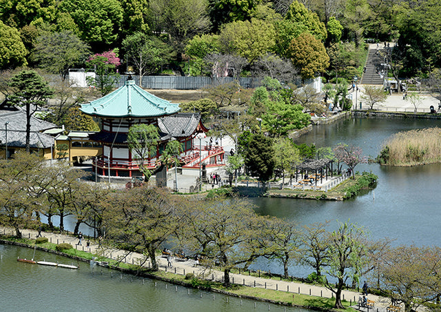上野、不忍池にある弁天堂にて「めがね之碑供養」